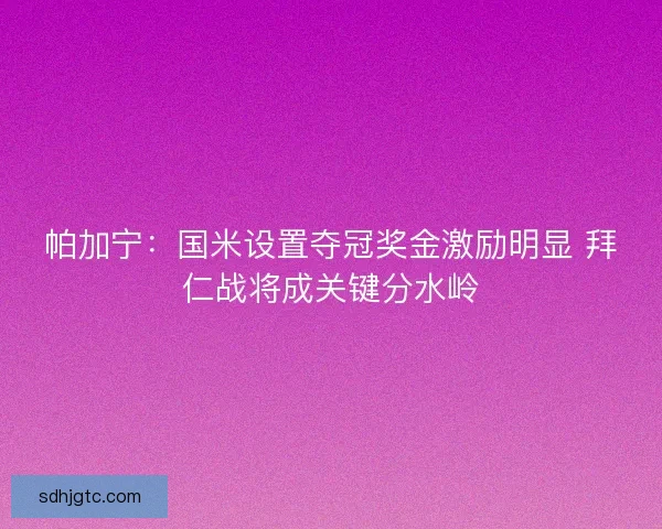 帕加宁：国米设置夺冠奖金激励明显 拜仁战将成关键分水岭
