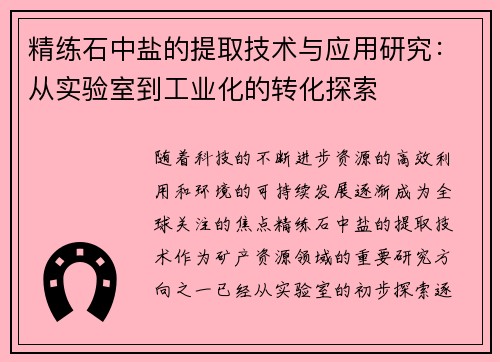 精练石中盐的提取技术与应用研究：从实验室到工业化的转化探索